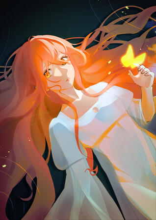 Half body whole package